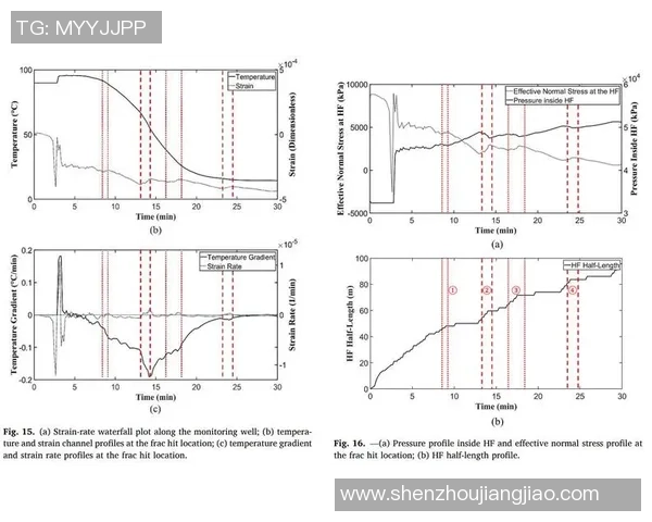 武汉攀岩队力量表现数据分析揭示训练效果与运动员潜力的关系