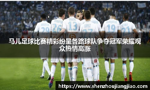 马儿足球比赛精彩纷呈各路球队争夺冠军荣耀观众热情高涨