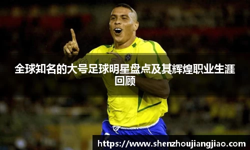 全球知名的大号足球明星盘点及其辉煌职业生涯回顾